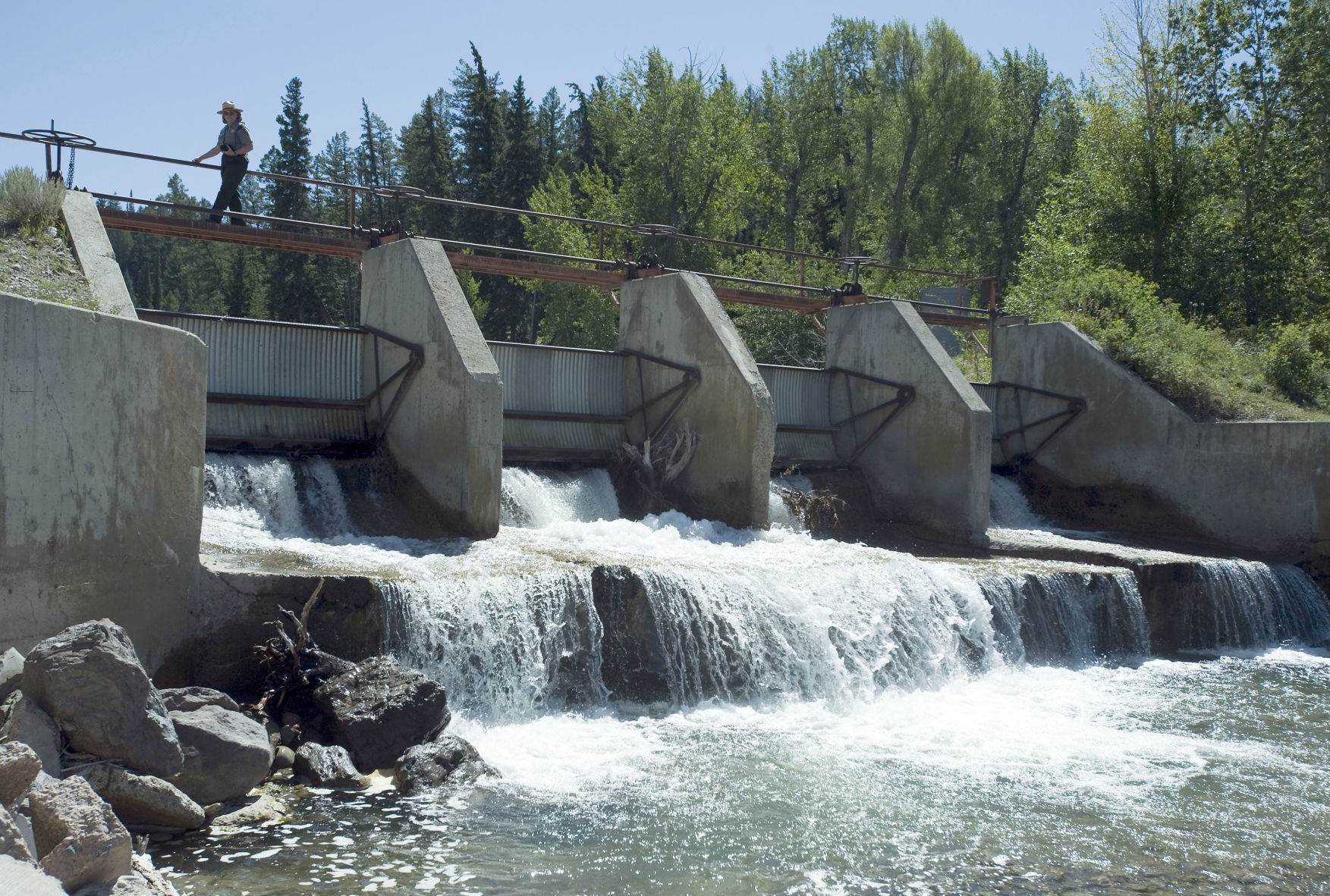 Spread Creek Dam